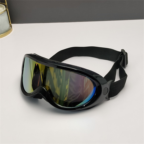 Oakley Ski Goggles 003